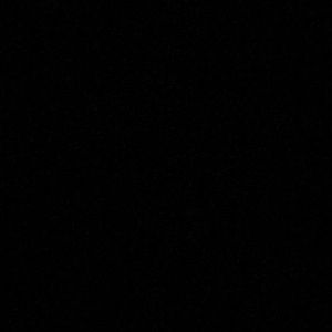 Meet your Posher, Gracie jan